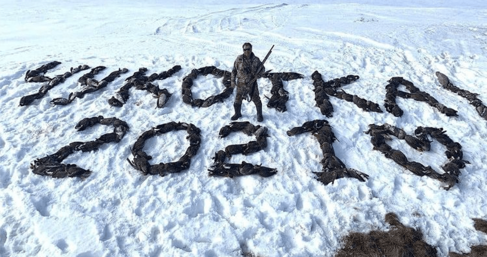 Photo: Aleksandr Kramarenko holding a hunting rifle and standing in the middle of a snowy field where what appeared to be almost 200 dead wild birds were arranged to spell out the words "Chukotka 2021". Credit: @hunting_in_siberia/Instagram